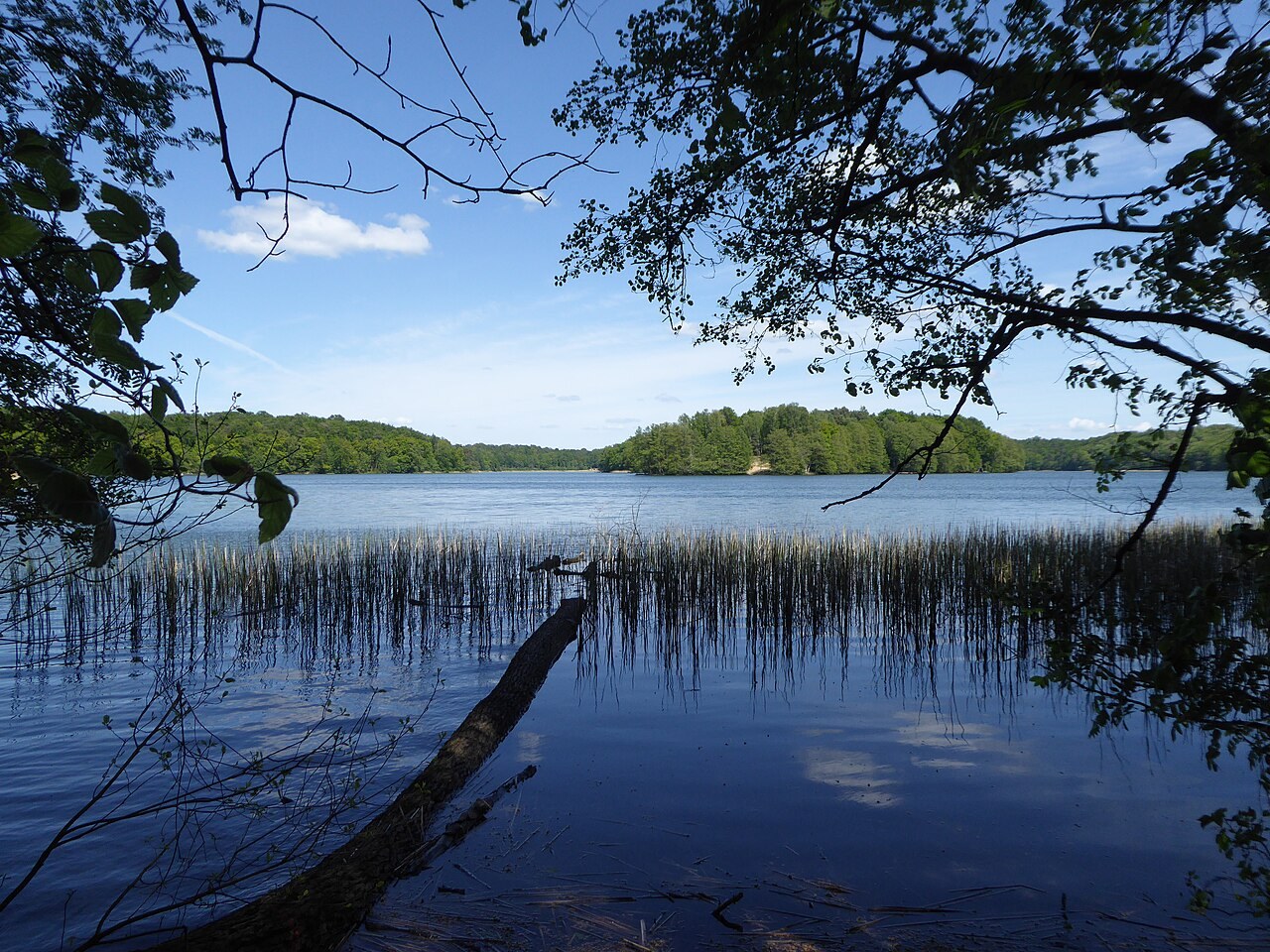 Großer Werder im Liepnitzsee: Inselbesuch bewusst planen