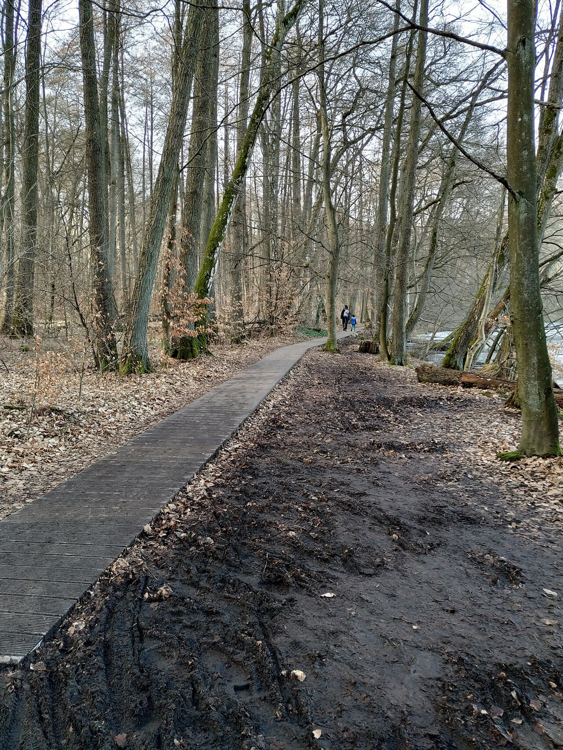 Ein Spaziergang am See: Uferwege, Pausen und Rückweg
