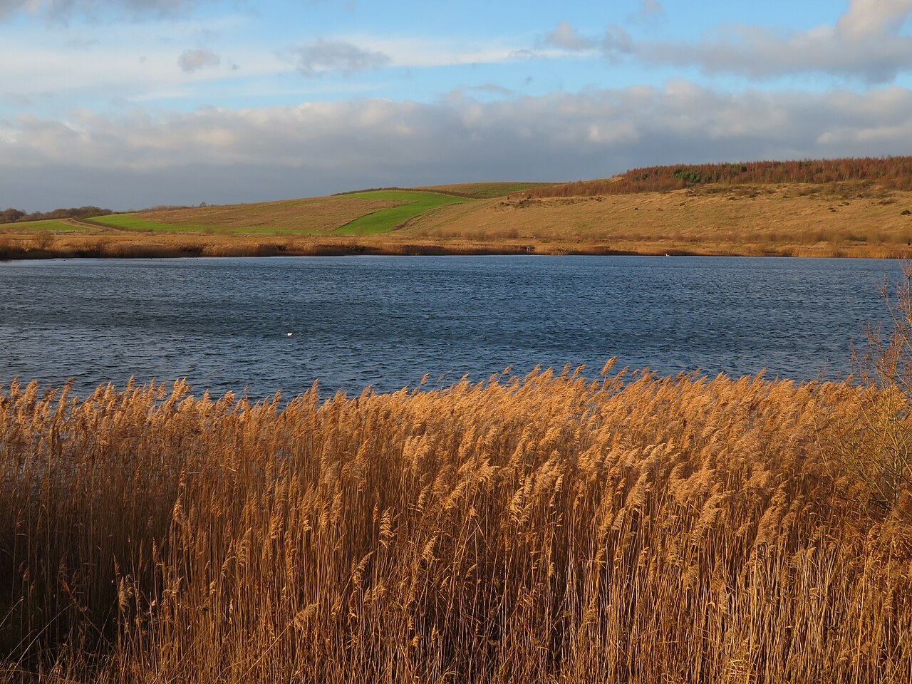 Wind am See: Sitzplatz und Tagesprogramm passend wählen