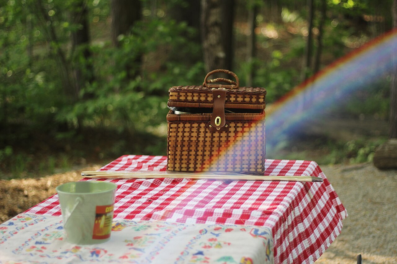 Picknick am Wasser: Essen, Abfall und geeignete Plätze