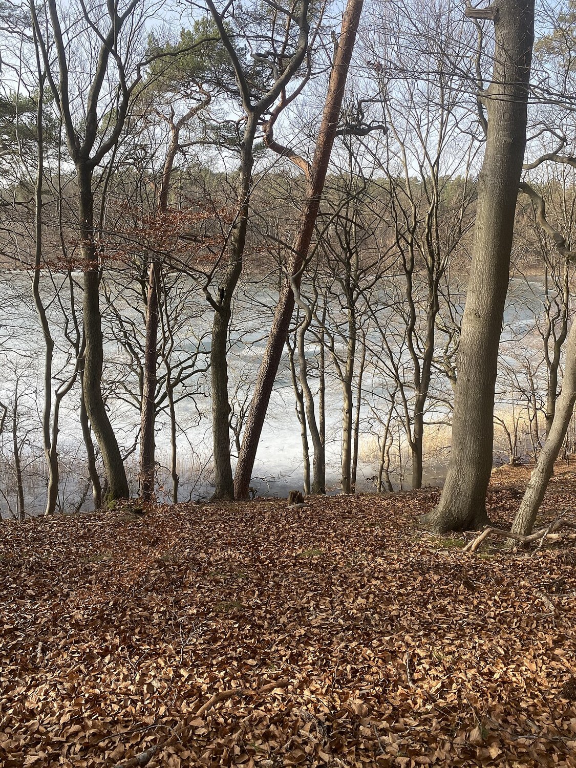 Waldwege am Liepnitzsee: Eine passende Runde planen