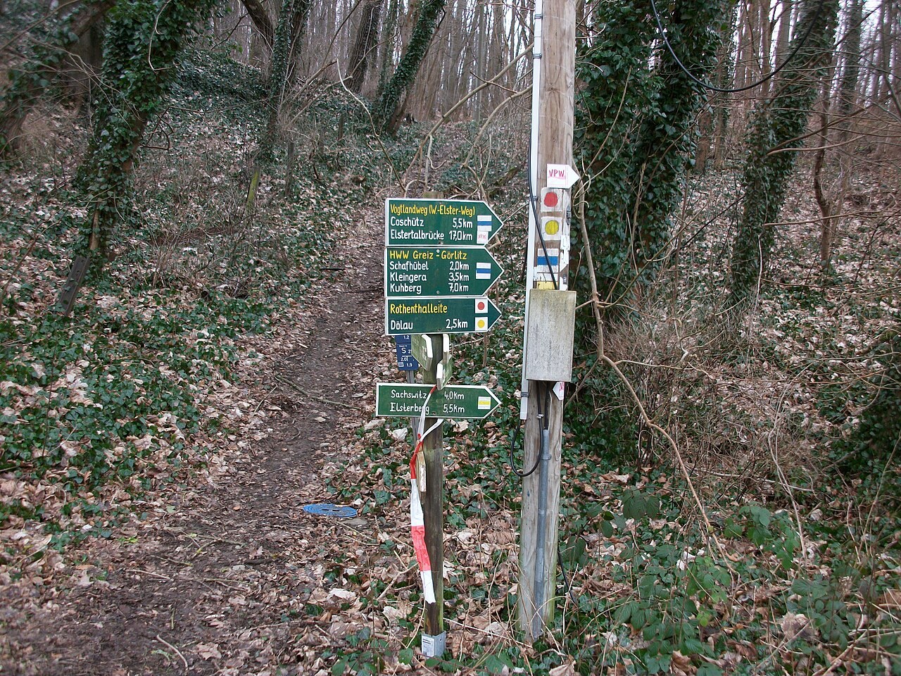 Im Wald orientieren: Karte, Abzweigungen und Offline-Informationen