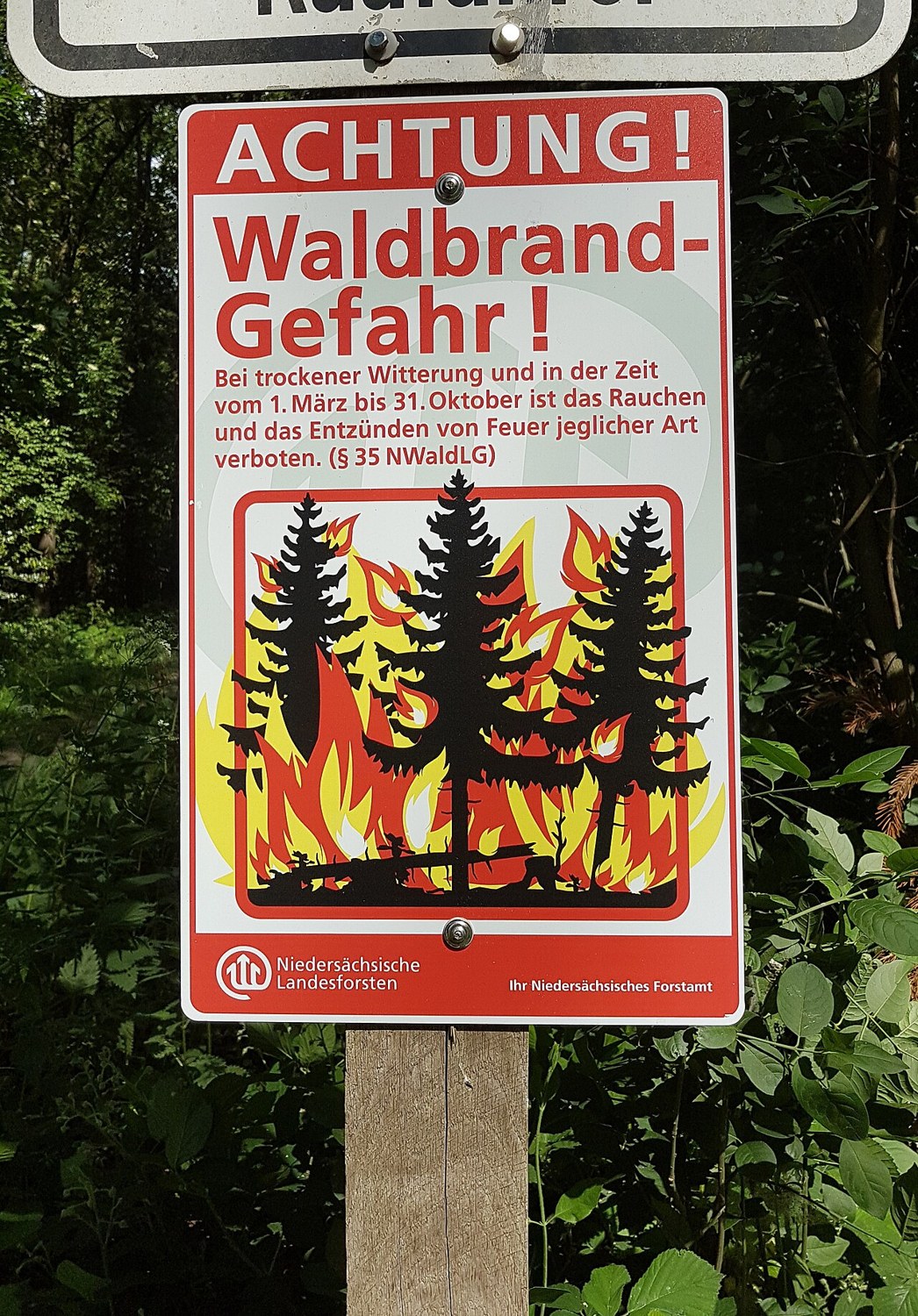 Waldbrandinformationen vor einem Ausflug richtig nutzen