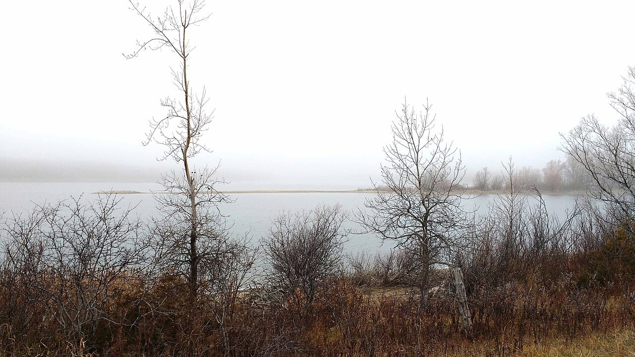 Nebel am See: Stimmung genießen und Orientierung behalten