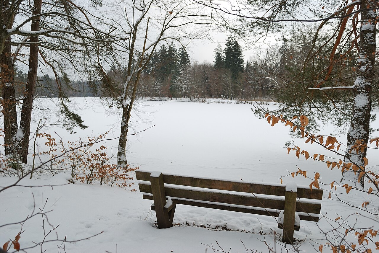 Winter am See: Die Landschaft vom Ufer aus erleben
